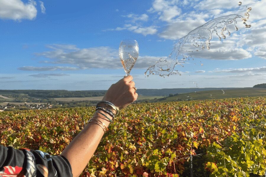From Paris: Wine Day trip to SANCERRE w 10 Tastings & Lunch - Price check: is $383 worth it for an 11-hour wine day?