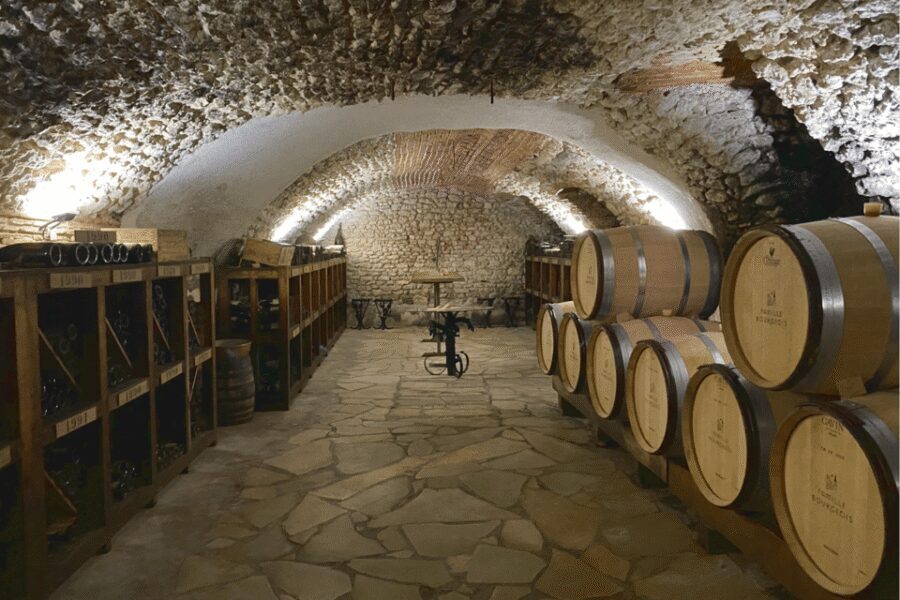 From Paris: Wine Day trip to SANCERRE w 10 Tastings & Lunch - Who should book this Sancerre wine day trip?