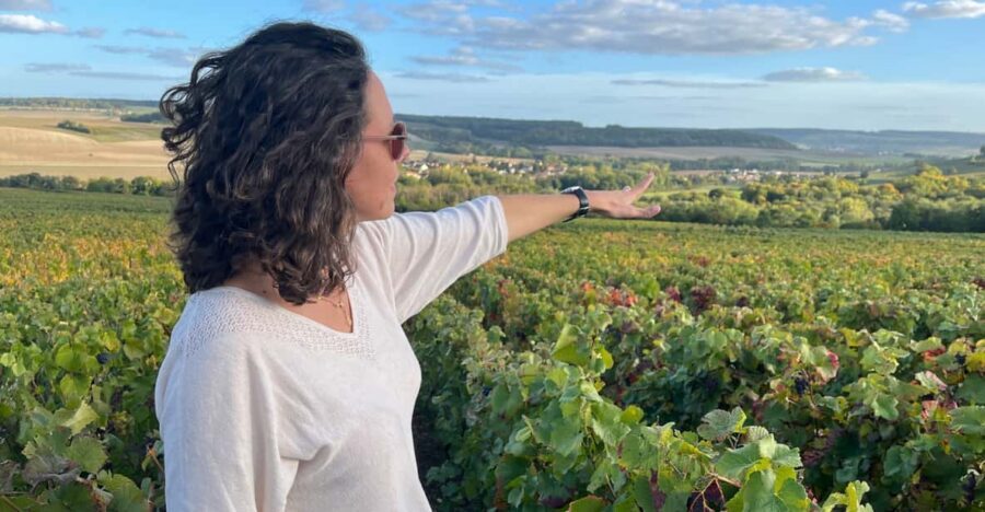 From Paris: Wine Day trip to SANCERRE w 10 Tastings & Lunch - Terroirs in plain language: Les Calcaires, Les Terres Blanches, Les Silex