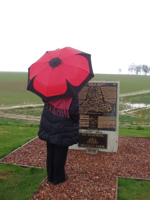 From Paris: WWI Somme Battlefields Full-Day Tour - Key highlights that matter (not just names on a map)