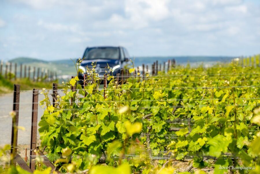 From Reims: Champagne and Family-Run Wineries Tour - Reims starting point: where your Champagne story begins