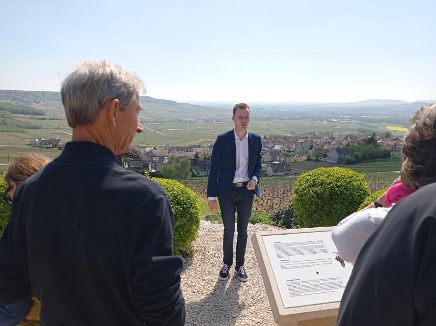 From Reims: Day Trip to Veuve Clicquot Family Grower & Lunch - Montagne de Reims vineyard drive: terroir lessons with real scenery