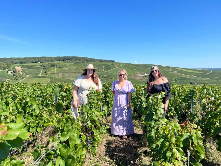 From Reims/Epernay:The Connoisseurs Private Tour 9 tastings - Independent producers in motion: what the visits really add