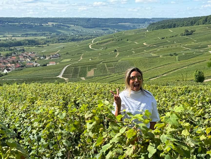 From Reims/Epernay:The Connoisseurs Private Tour 9 tastings - The 9 tastings: what to look for in the glass