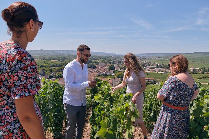 From Reims morning Champagne family growers - How much this tour is worth for $139.13