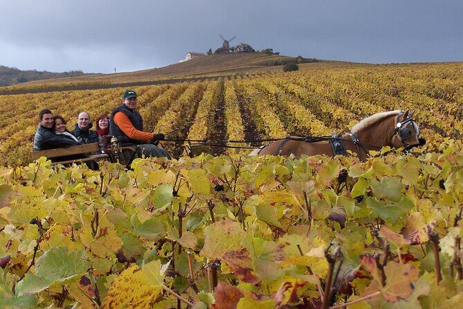 Full Day All-inclusive Tour in Champagne from Paris in a Minivan - Key things I’d put on your radar
