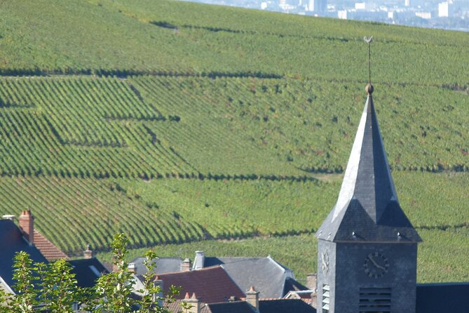 Full Day Champagne Pommery Small Group Tour - Cumières: The Small Producer Cellar Tour and Tasting Moment