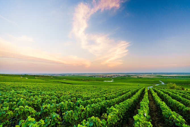Full Day Champagne Pommery Small Group Tour - Lunch Break in Épernay: Use Your Guide’s Suggestions Wisely