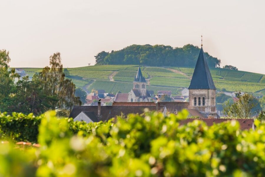 Full Day Pommery Small Group Tour - Who This Tour Suits Best (and Who Should Skip It)