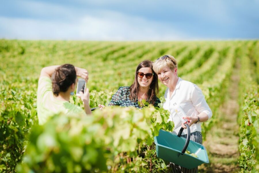 Full Day Pommery Small Group Tour - Hautvillers and Abbaye Saint-Pierre: Dom Pérignon’s Tomb and a Tasting With Place in It