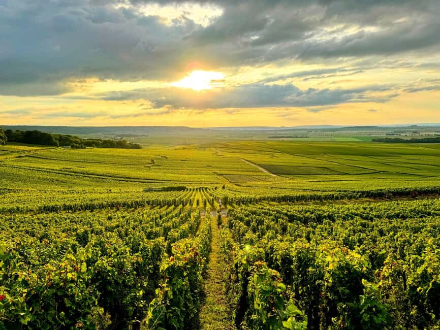 Full Day Pommery Small Group Tour - A Boutique Producer in Avenay-Val-d’Or: How Champagne Is Made (Plus 3 Glasses)