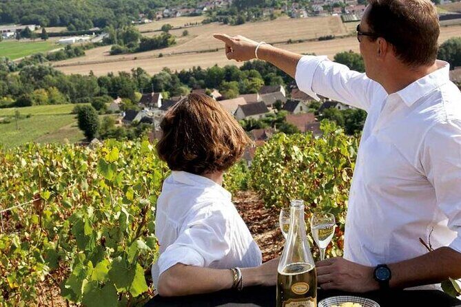Full-Day Private Champagne Tasting in Reims and its Vineyards - Key things to know before you go