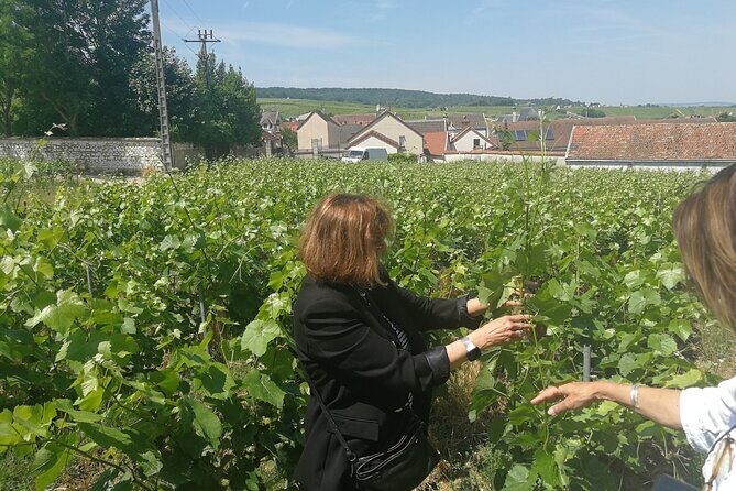 Full-Day Private Champagne Tasting in Reims and its Vineyards - Transfers by private driver: why this day runs on rails and roads