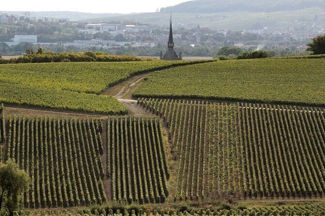 Full-Day Private Champagne Tasting in Reims and its Vineyards - Price and value: is $718.55 per person worth it?