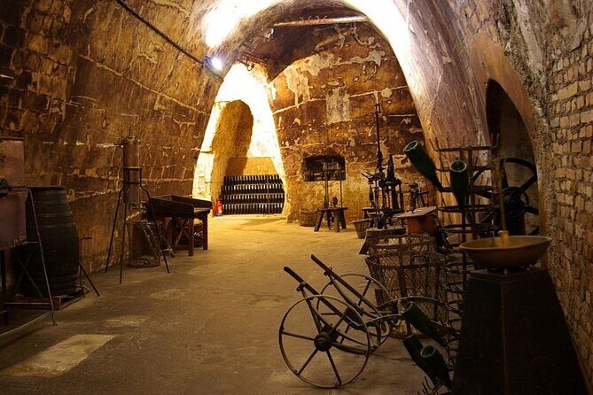 Full-Day Private Champagne Tasting in Reims and its Vineyards - Who this Champagne day suits best (and who should rethink it)