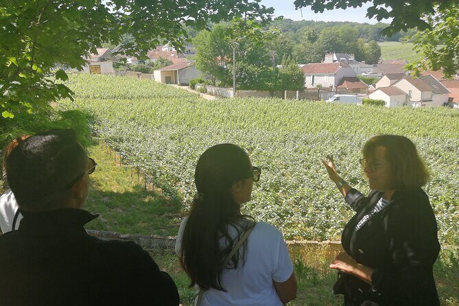 Full-Day Private Champagne Tasting in Reims and its Vineyards - Champagne house visits in Reims: cellars, process, and three tastings