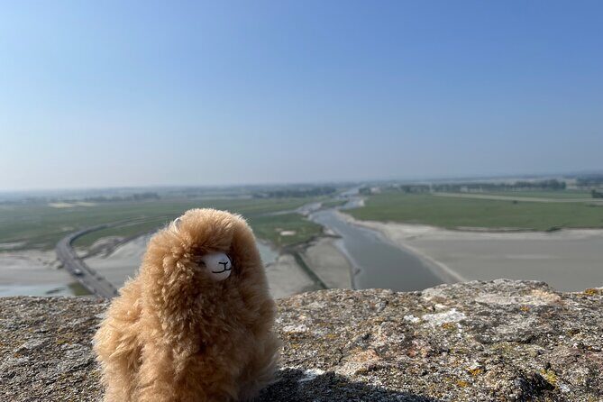 Full-day Private Tour in Mont Saint Michel with Calvados Tasting - Timing and Pacing: What You Actually Get in the Day