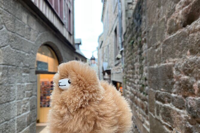 Full-day Private Tour in Mont Saint Michel with Calvados Tasting - Who This Tour Suits Best