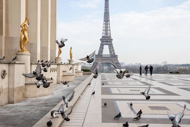Full-Day Private Tour in Paris with Driver Sightseeing tour - Eiffel Tower and Invalides: Icon Views Without Entry Tickets