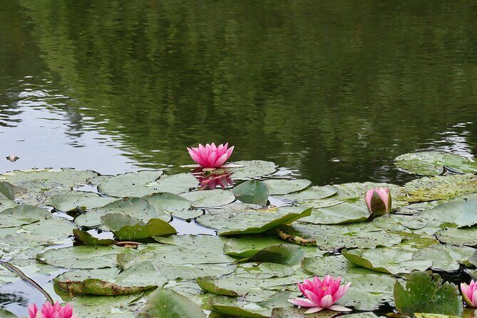 Giverny Half-Day Small-Group Tour from Paris – Max 7 Guests - Return to Paris with the 15-Minute Versailles Stopover