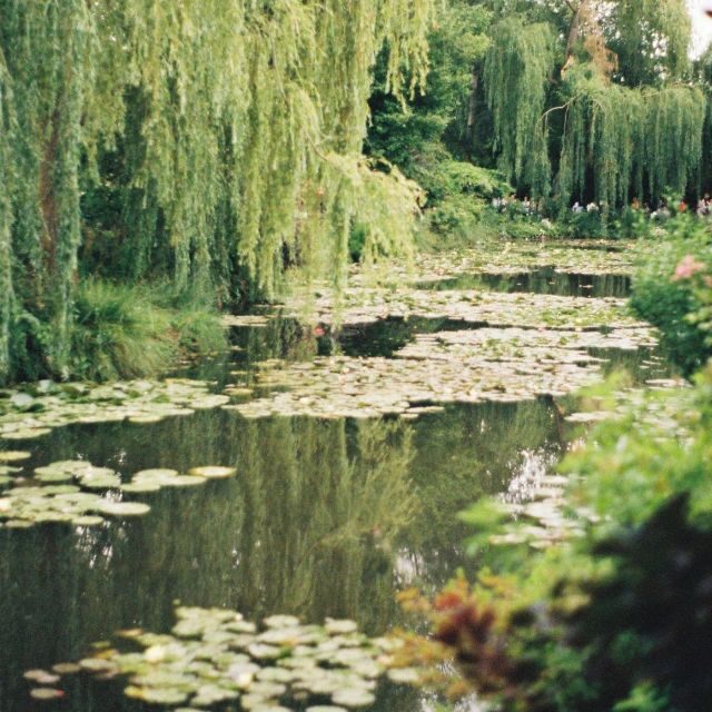 Giverny : Monet's house & Gardens Private tour from Paris - Giverny garden time: water lilies, bridges, and the views you came for
