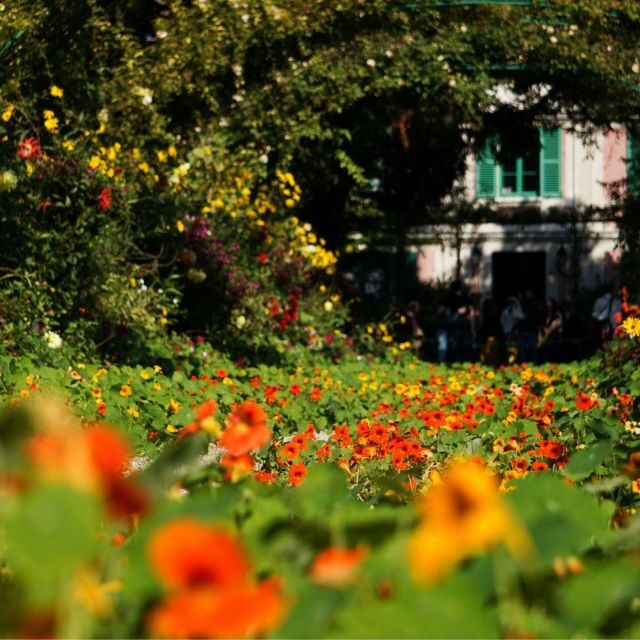 Giverny : Monet's house & Gardens Private tour from Paris - Luxury transport from Paris: comfort that actually matters