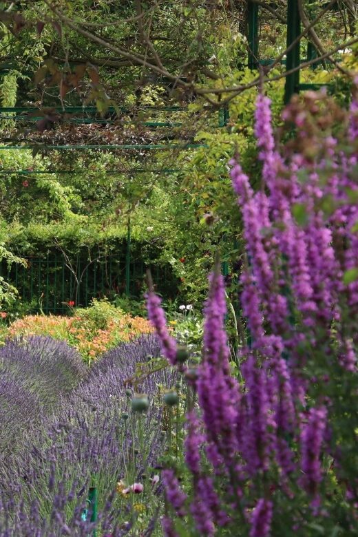Giverny Private Guided Walking Tour - Giverny in 2 hours: what you’re really buying