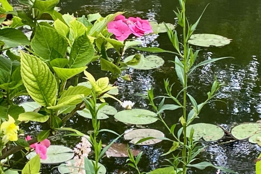 Giverny Versailles Trianon Small Group by Minivan from Paris - The pacing: what 690 minutes feels like on your feet