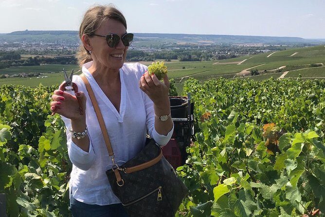 Gold Champagne Experience from Epernay (Private Full day tour) - Epernay’s Avenue de Champagne: mansions and the scale of the cellars