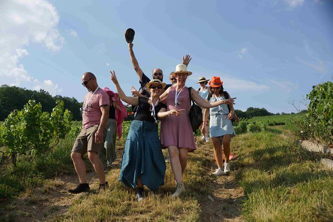 Gourmet walk in the heart of the vineyards with Champagne tasting near Epernay - Key highlights worth planning for