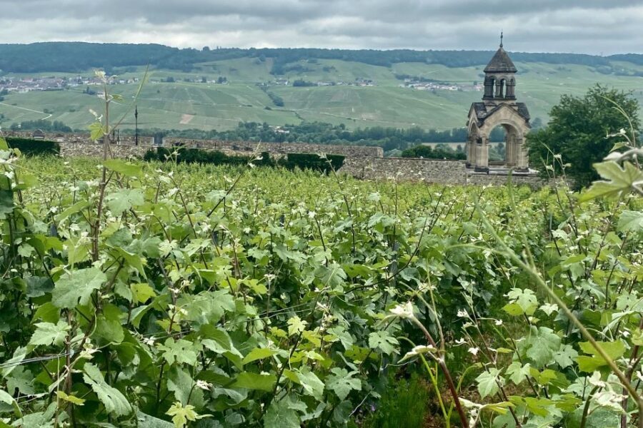 Grand Vintage Private Champagne Moet Chandon Veuve Clicquot - Hautvillers: Dom Pérignon roots and a viewpoint over vineyards and the Marne