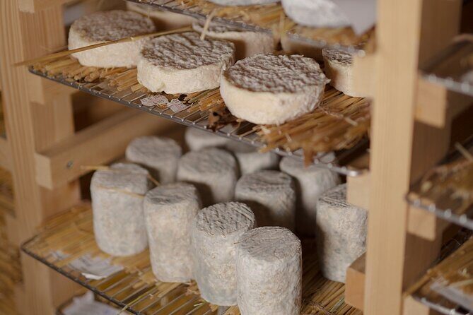 Guided visit of the Cheese Museum with Tasting Included - Musée Vivant du Fromage on Île Saint-Louis: why this museum works