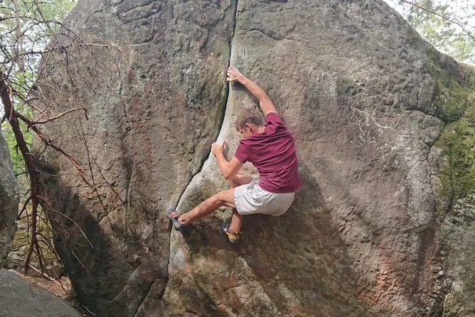 Half-Day Bouldering in Fontainebleau - What You’re Actually Doing: Bouldering Without Harnesses or Ropes