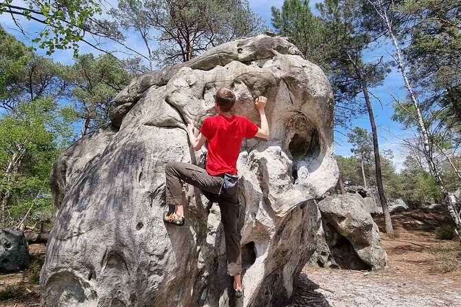 Half-Day Bouldering in Fontainebleau - The Half-Day Flow: From Bois-le-Roi to Your First Problems