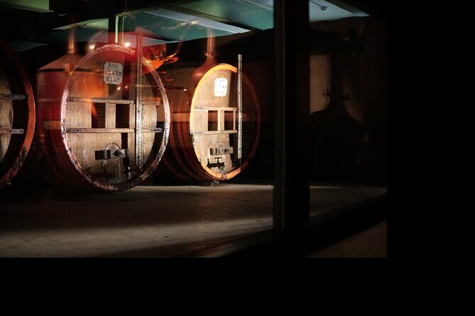 Immersive tour DISTILLERIE PERE MAGLOIRE - Key things that make this calvados tour worth your time