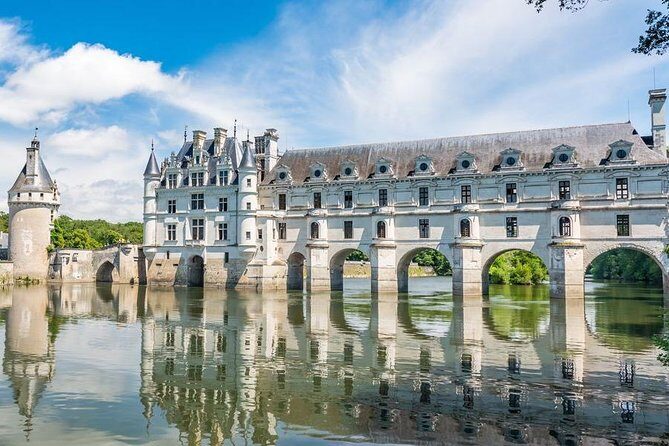 Incredible Loire castles tour with lunch and a vineyard visit - Vineyard visit and wine tastings: what to expect and how to enjoy it