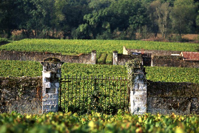 Incredible Loire castles tour with lunch and a vineyard visit - Small-group comfort: how the max of 8 changes the feel