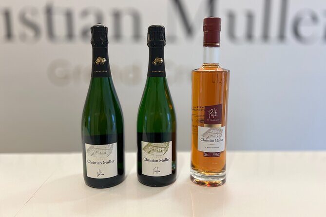 Let's take a walk in the vineyards - Linking vineyard technique to Champagne making: what happens after the grapes