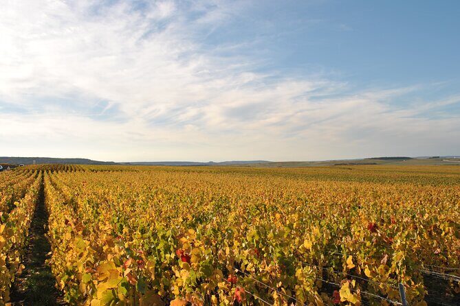 Let's take a walk in the vineyards - The guide factor: why the small-group vibe matters