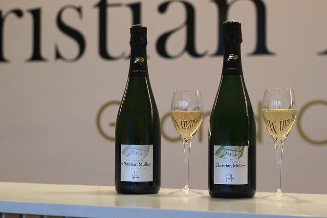 Let's take a walk in the vineyards - The vineyard walk: how terroir becomes something you can taste