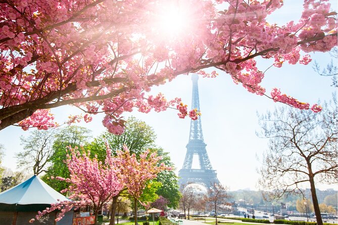 Live, Laugh, Love Along the Seine: Self-Guided Romantic Tour - Shakespeare and Company to Notre-Dame: When the Seine Feels Literary