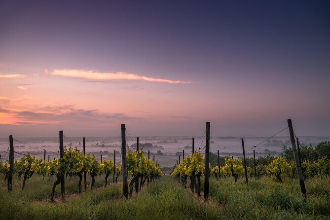 Loire Valley Castles and Wineries Private VIP Day Trip with Lunch - Price and value: what you’re paying for, really