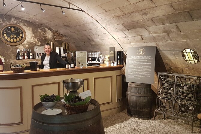 Loire Valley Castles Private Tour From Paris/skip-the-line ticket - Private winemaker tasting near Chenonceau (or swap it)