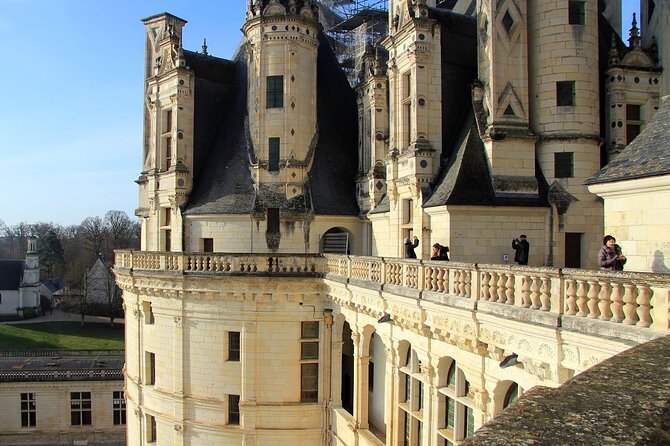Loire Valley Castles Private Tour From Paris/skip-the-line ticket - Château de Cheverny and the Tintin connection