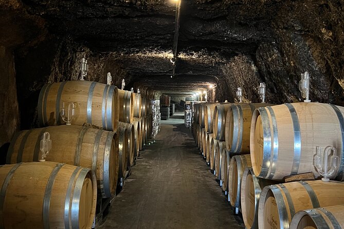 Loire Valley Chambord Castle and Wine Tasting from Paris - The Real Value of $306.76: What You’re Paying For