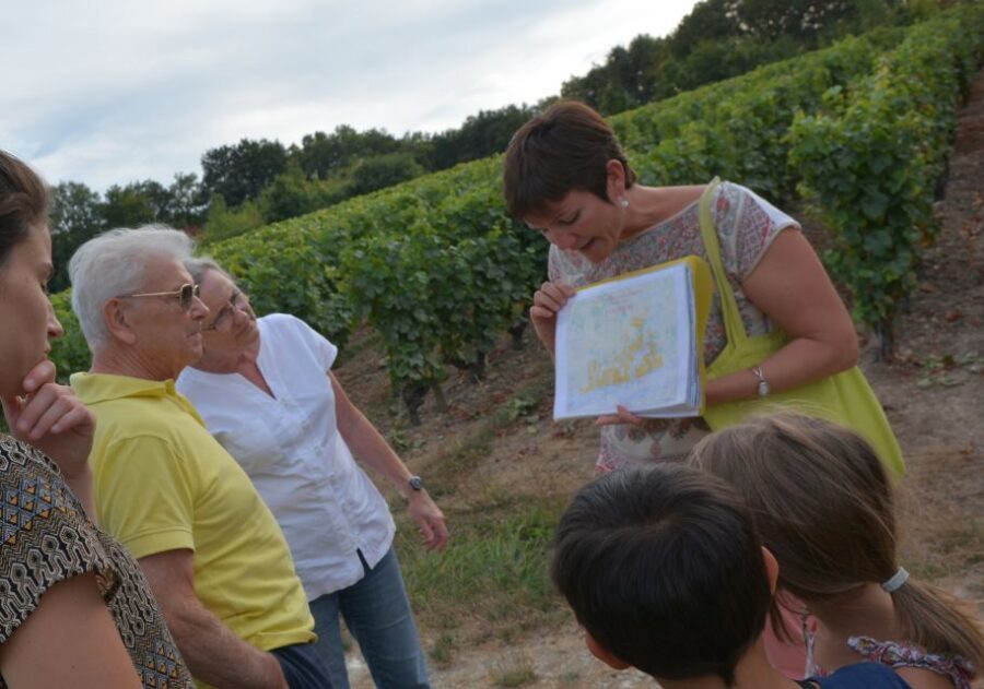 Loire Valley: Vouvray Vineyard Tour and Wine Tasting - From grapes to limestone: how the cellar fits Vouvray’s style