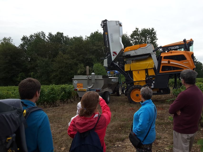 Loire Valley: Vouvray Vineyard Tour and Wine Tasting - Who should book this Vouvray tour, and who should skip it