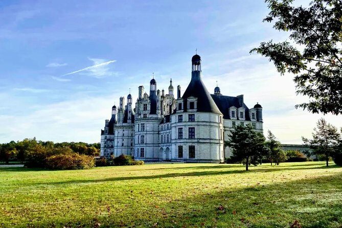 Loire Valley Wines and Castle Small Group Day Trip from Paris - Winery stop 1: the family-run cellar experience and wine tasting