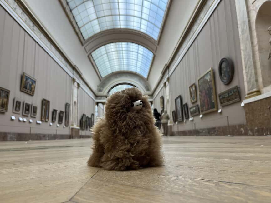 Louvre Museum Entry Ticket and Private Guided Tour - Security checks and photo rules that can affect your flow