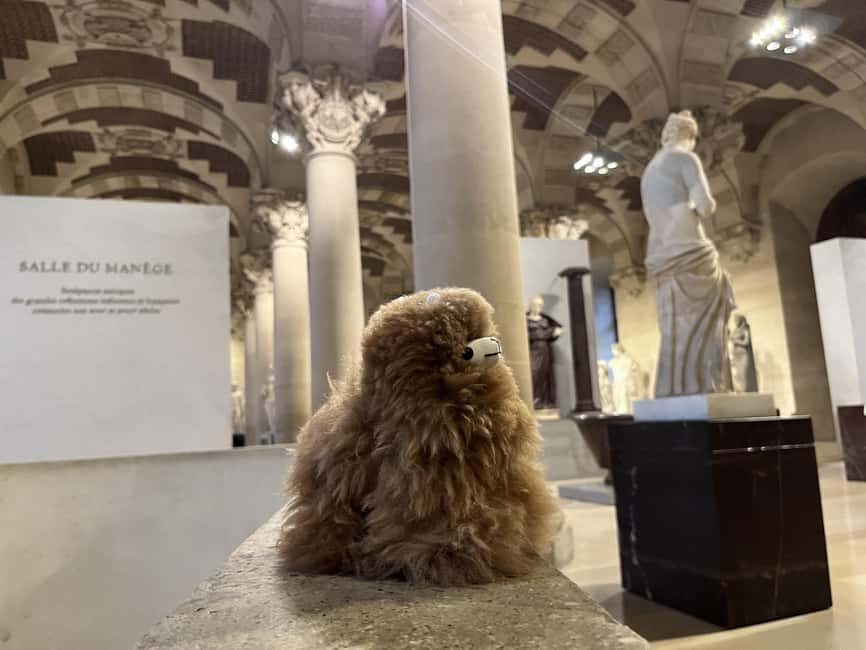 Louvre Museum Entry Ticket and Private Guided Tour - Botticelli and the recurring woman theme